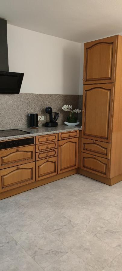 Schoene Und Optimal Gelegene Wohnung Og Weisskirchen Extérieur photo