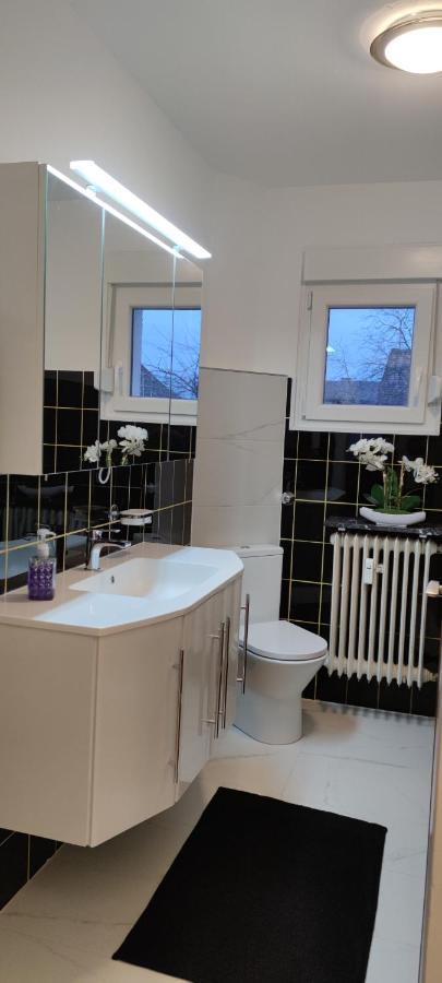 Schoene Und Optimal Gelegene Wohnung Og Weisskirchen Extérieur photo